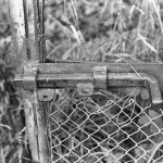 ADOX-CHS-100-II-in-SPUR-UFP-7