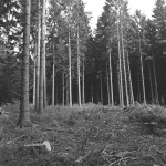 ADOX-Silvermax-in-SPUR-UFP-1