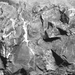 ADOX-Silvermax-in-SPUR-UFP-5