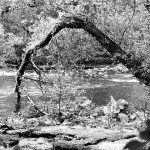 Beispielbild-Agfa-APX-400-800-in-SPUR-Ultraspeed-Vario-3