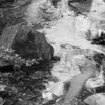 Beispielbild-Agfa-APX-400-800-in-SPUR-Ultraspeed-Vario-4