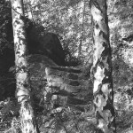 Ilford-Delta-400-in-SPUR-UFP-2