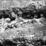 Ilford-Delta-400-in-SPUR-UFP-4