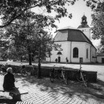 Blommor, träd
