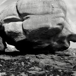 Mein-analoger-Photo-Workshop-in-der-Bretagne-1