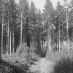 Rollei-RPX-100-in-SPUR-UFP-1