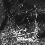 Rollei-RPX-100-in-SPUR-UFP-3