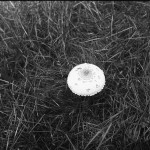 Rollei-RPX-100-in-SPUR-UFP-5