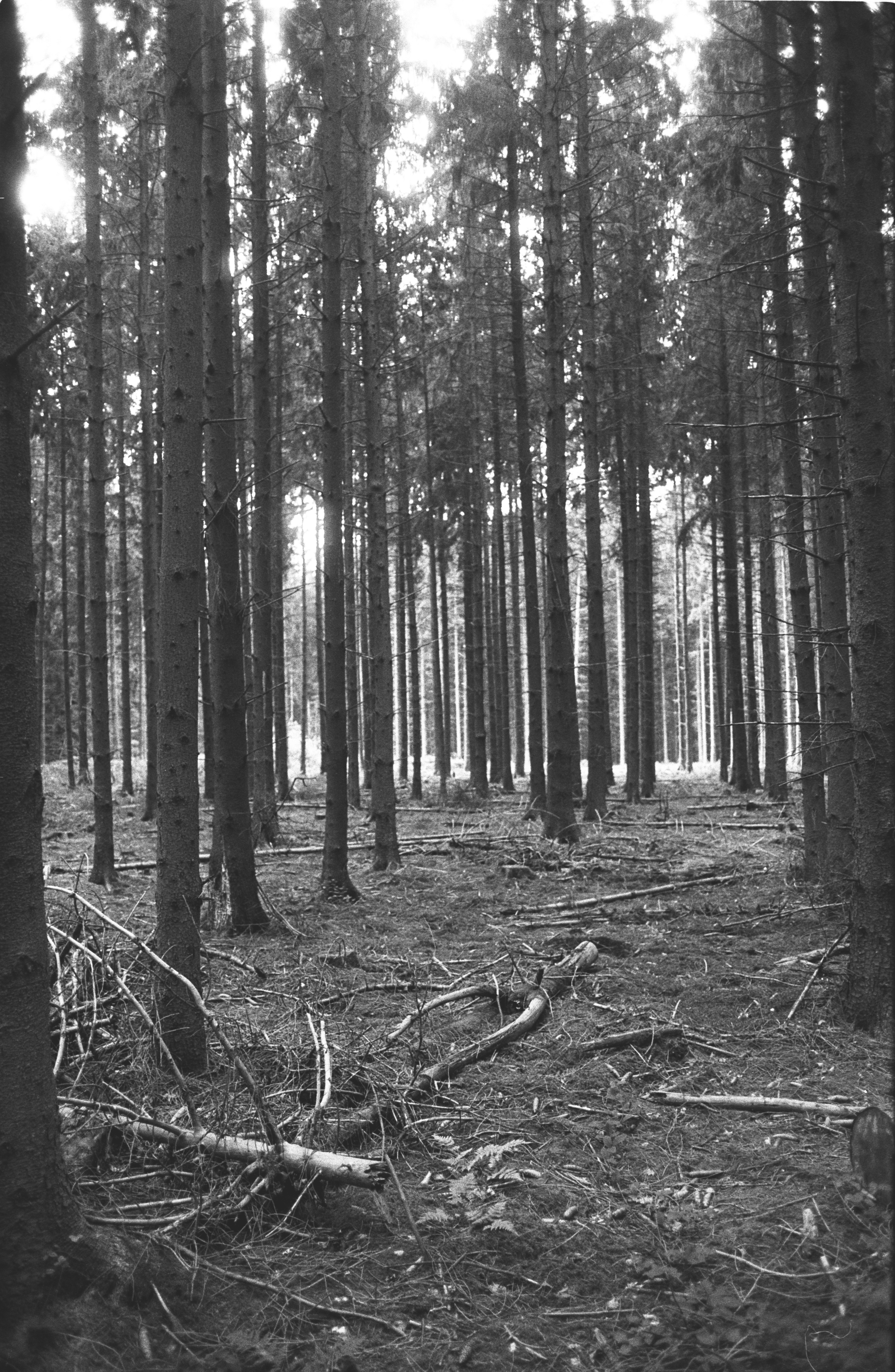 Rollei-RPX-100-in-SPUR-UFP-6