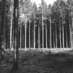 Rollei-RPX-100-in-SPUR-UFP-8