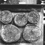 SPUR-Orthopan-UR-in-Nanospeed-SL-135-1