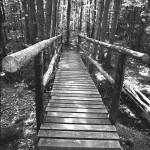 SPUR-Orthopan-UR-in-Nanospeed-SL-135-2