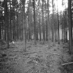 SPUR-VarioSpeed-Ausschnitt